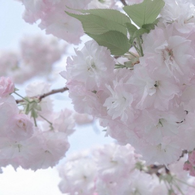 阜康FurryQQ群介绍